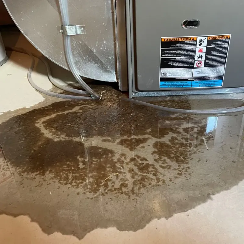 Pipe Burst and Leak Restoration in Athens, OH