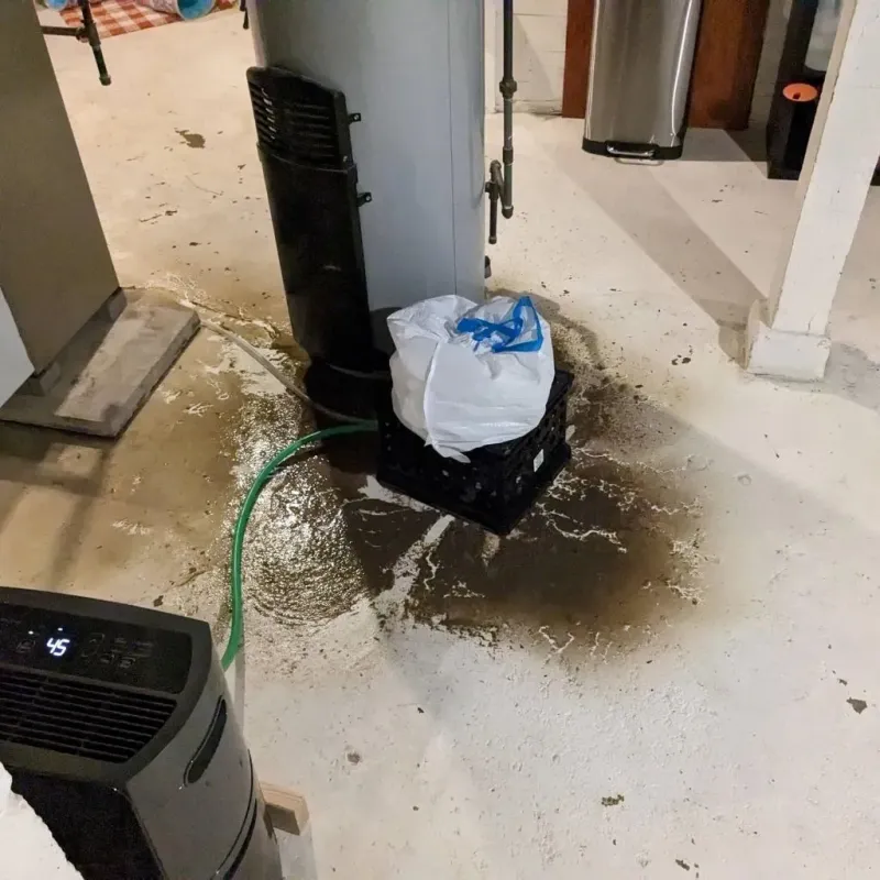 Sewage Backup Cleanup Service in Athens, OH